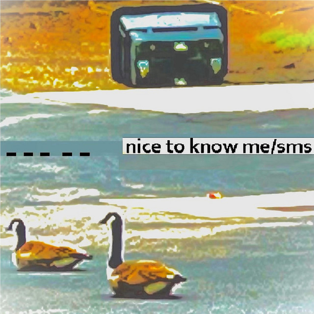 nice to know me/sms cover art