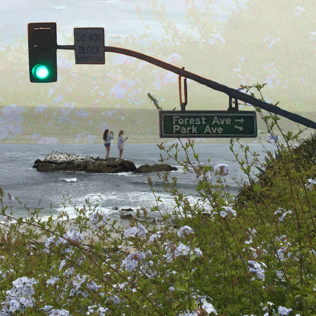Park Avenue cover art