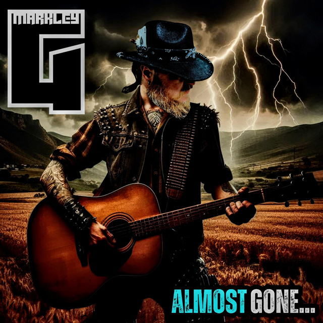 Almost Gone cover art