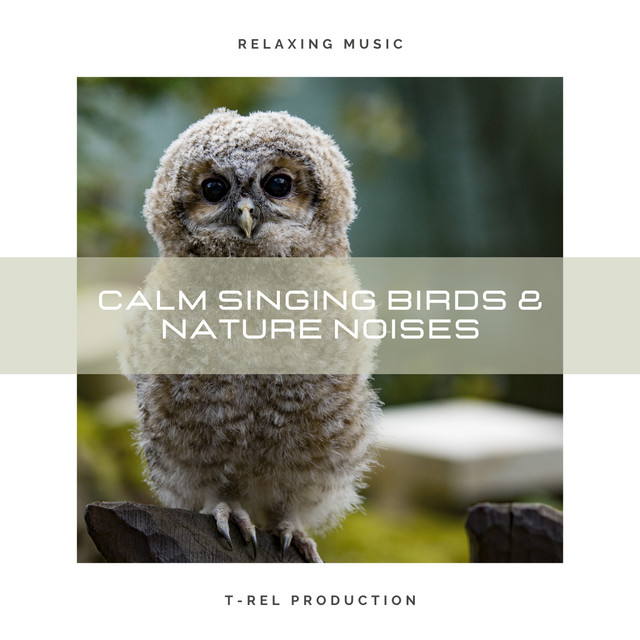 Calm Singing Birds & Nature Noises cover art