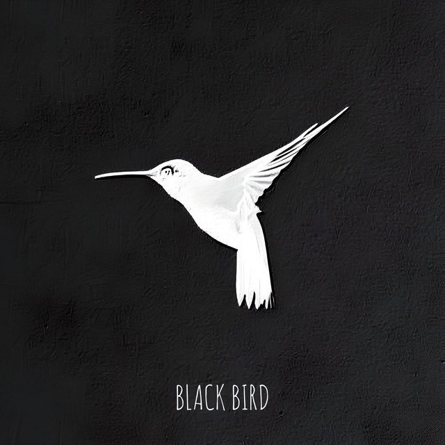 Обкладинка: Black Bird — Hopelexx