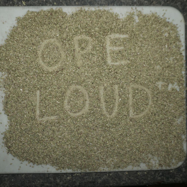 Loud cover art