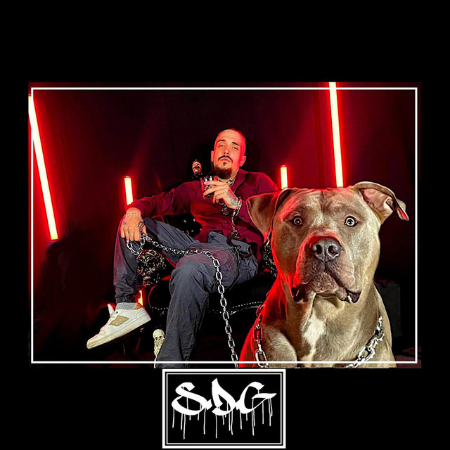Sdg cover art