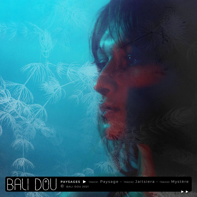 Paysages Single By Bali Dou Spotify