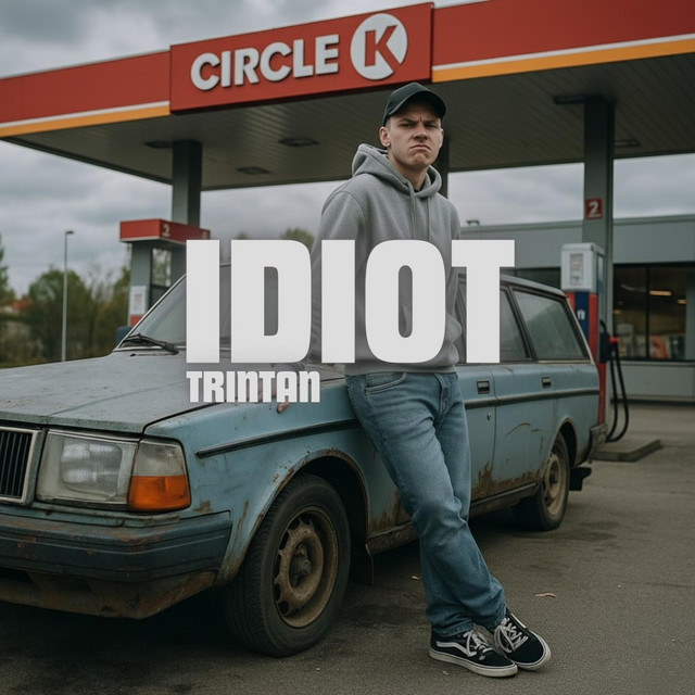 Idiot cover art