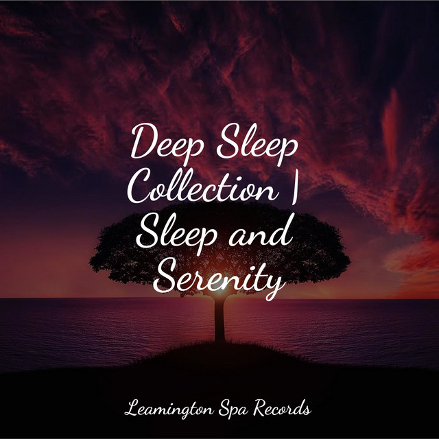 Gentle Sleep Music