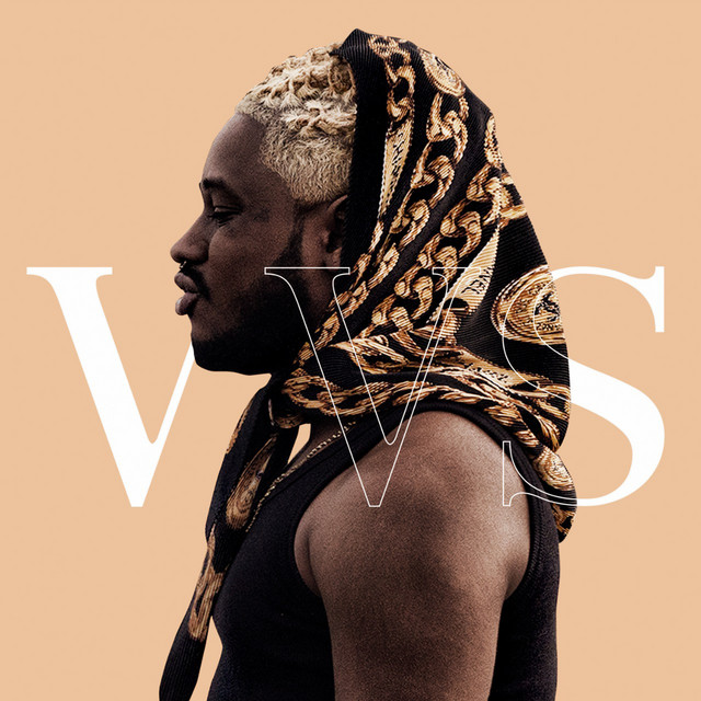 Vvs cover art