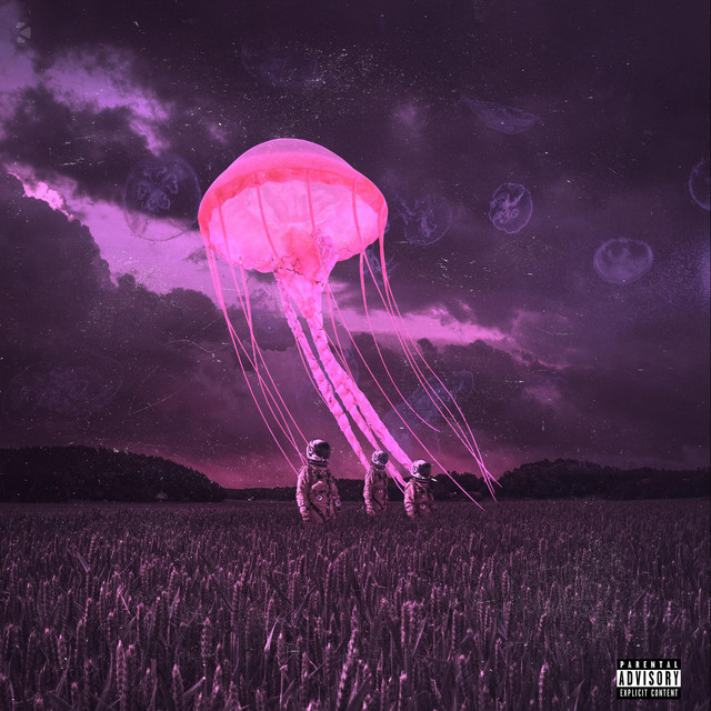 Dors cover art