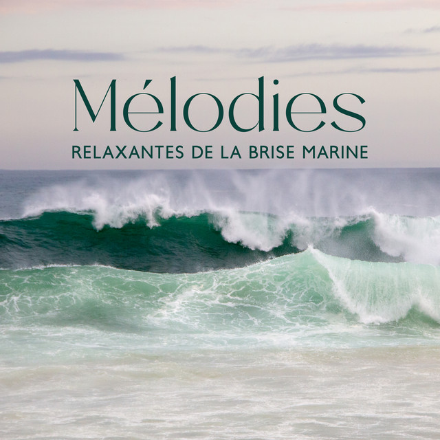 Mélodies relaxantes de la brise marine : Musique de guérison par le son et le toucher