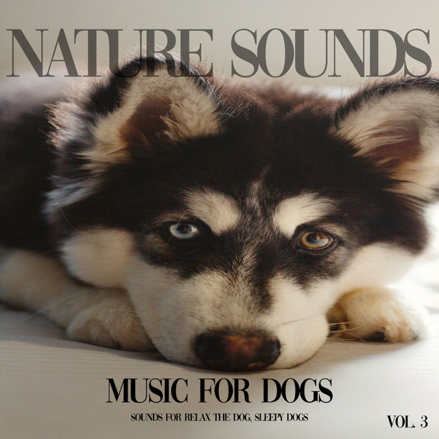 Music for Dogs - Nature Sounds for Your Dog, Vol. 3 cover art