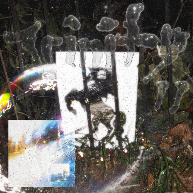 search for evidence cover art