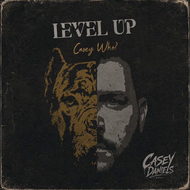 Level up Casey Who? cover
