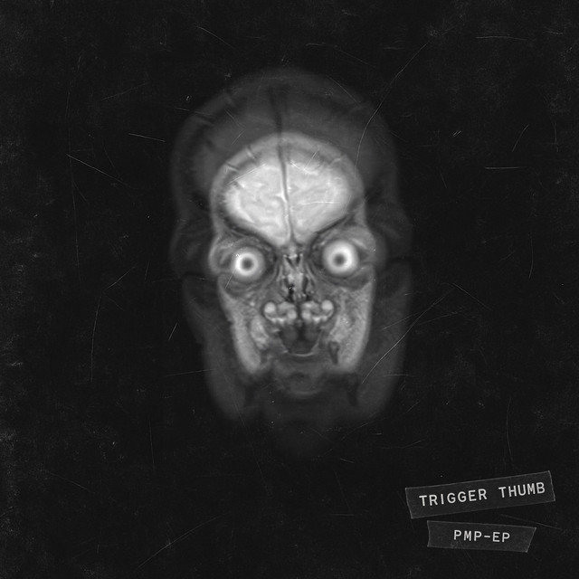 PMP-EP cover