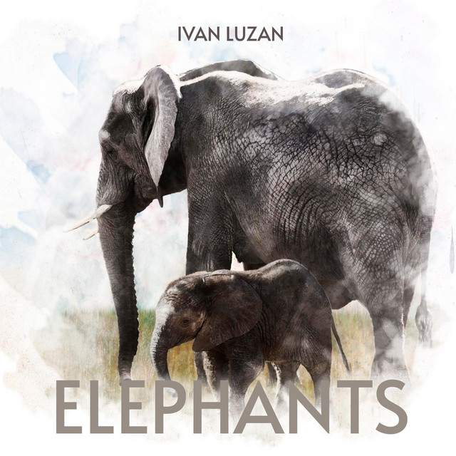 Обкладинка: Elephants — Ivan Luzan
