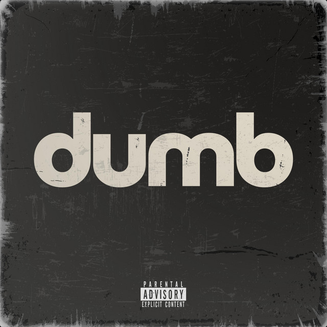 dumb cover