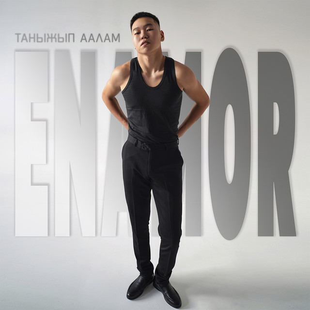 Таныжып аалам cover