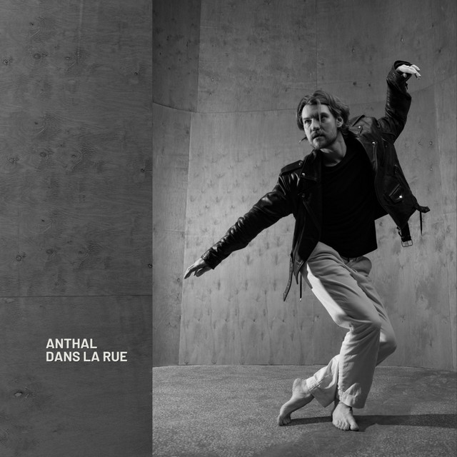 Обкладинка: Dans la rue — Anthal