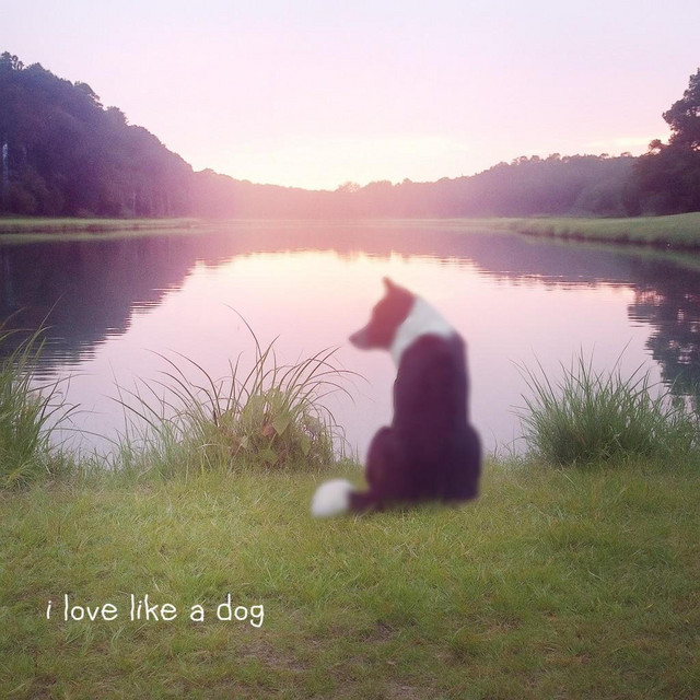 i love like a dog cover art