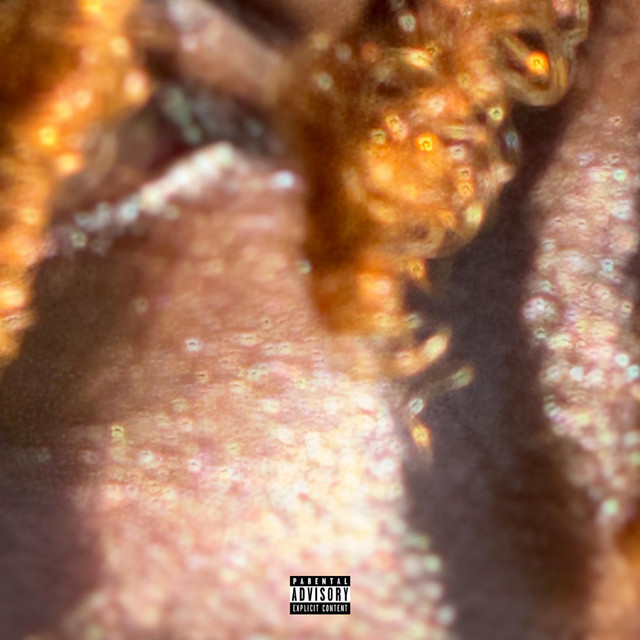 REVERSE! cover art