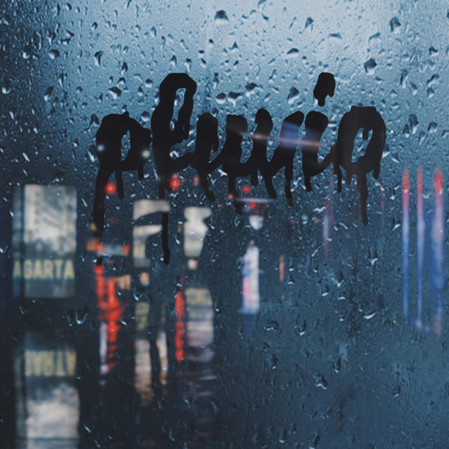Pluvio cover