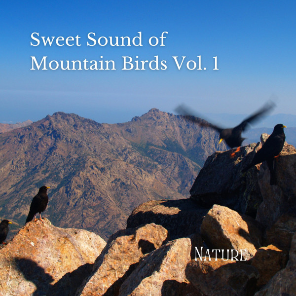 Nature: Sweet Sound of Mountain Birds Vol. 1 cover art