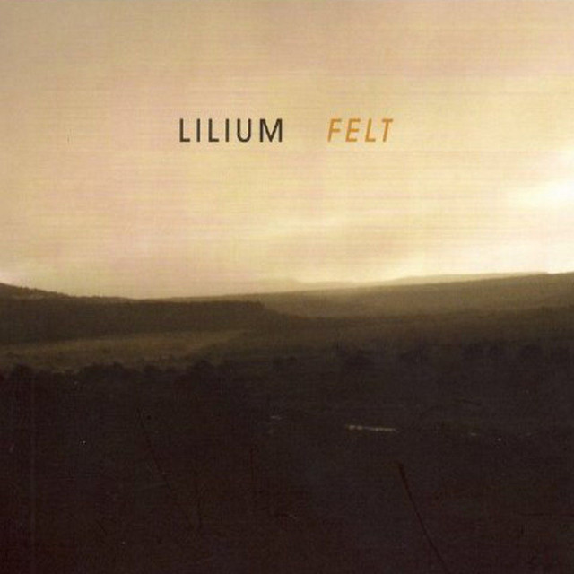 Felt cover art