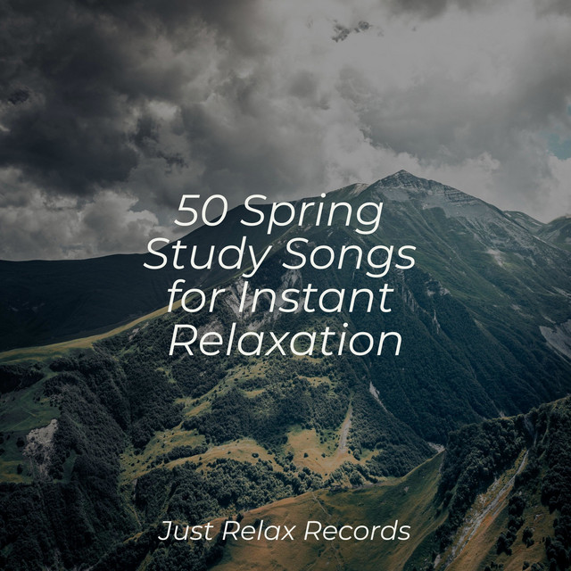 50 Spring Study Songs for Instant Relaxation - Album by Baby Lullaby ...