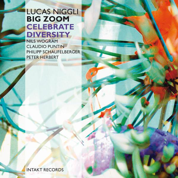Celebrate Diversity — Lucas Niggli Big Zoom
