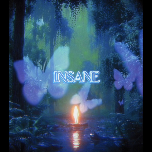 INSANE cover art