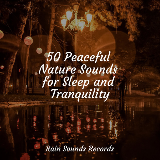 50 Peaceful Nature Sounds for Sleep and Tranquility - Album by Reiki ...