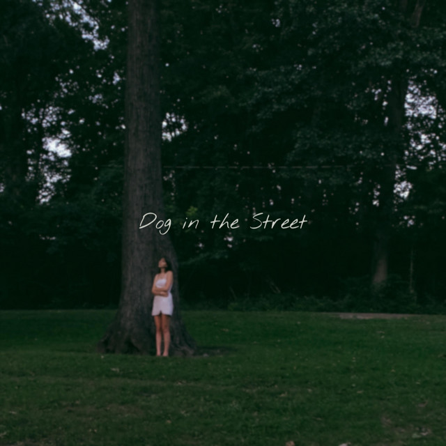 Dog in the Street cover art