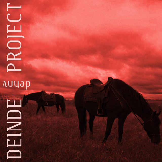 Cover art: Лицар — Deinde Project