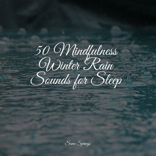 50 Mindfulness Winter Rain Sounds for Sleep - Album by Reiki Tribe ...