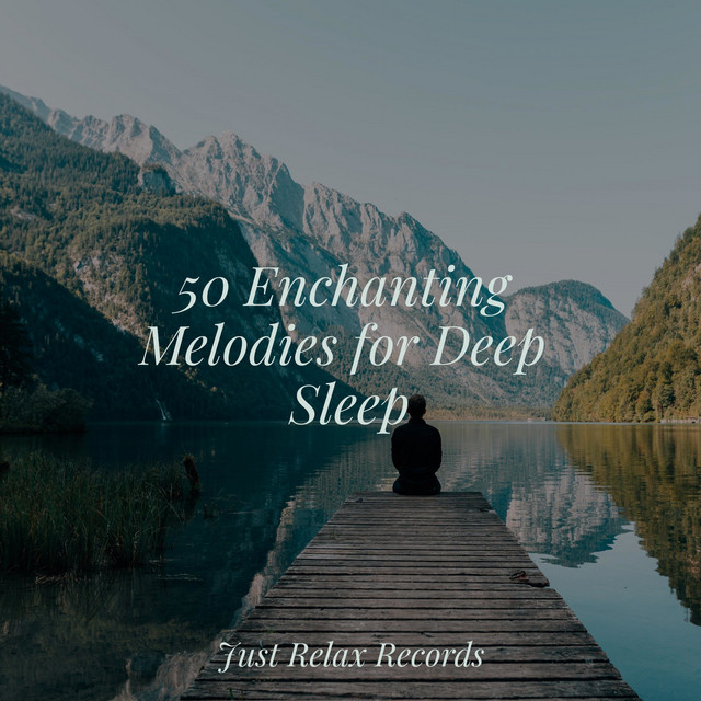50 Enchanting Melodies for Deep Sleep - Album by Easy Sleep Music | Spotify