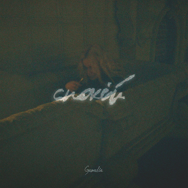 Обкладинка: Спокій — GAMALIA
