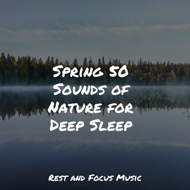 Spring 50 Sounds of Nature for Deep Sleep - Album by Native American ...