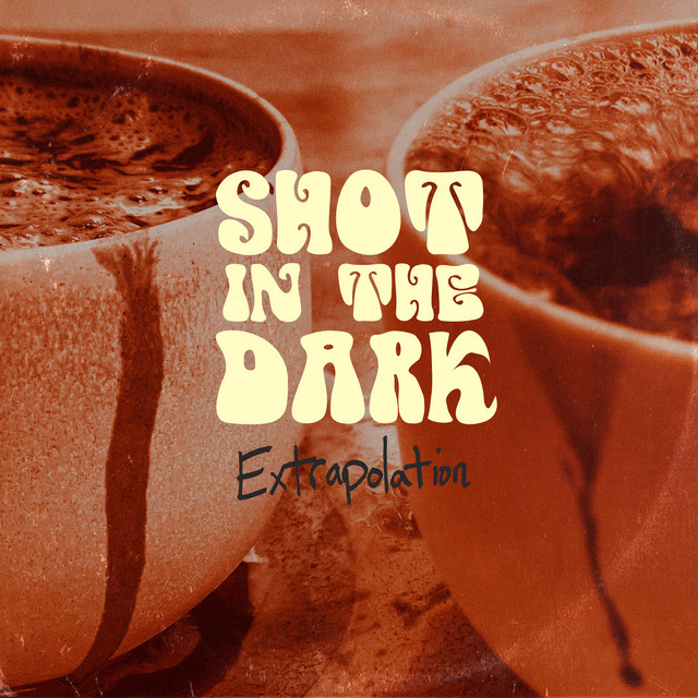 Shot in the Dark cover art
