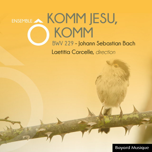Komm, Jesu, komm, BWV 229 ; BC C 3