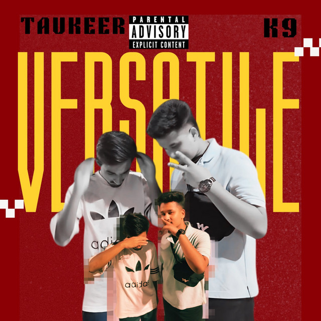 Versatile cover art