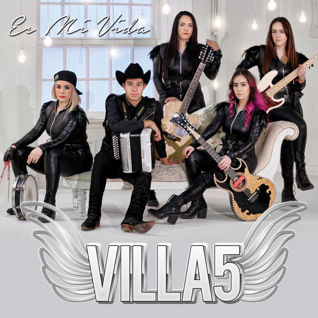 Es Mi Vida cover art