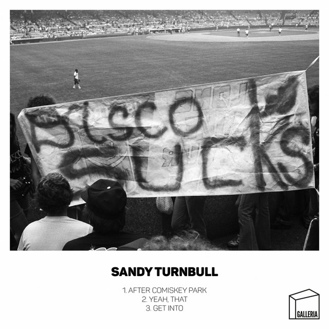 After Comiskey Park cover art