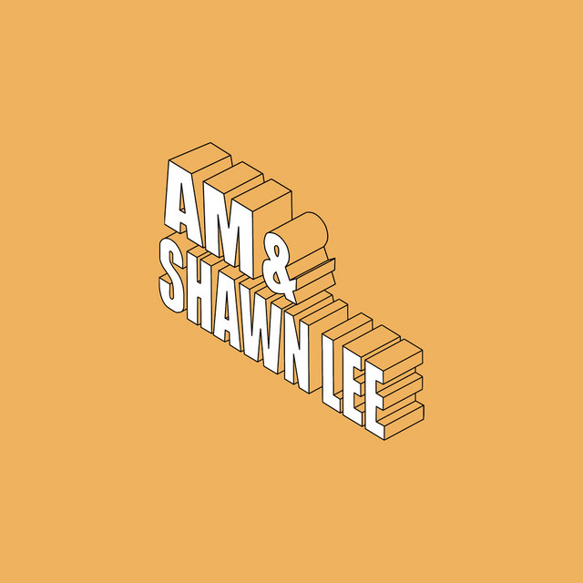 AM & Shawn Lee - You Are in My System