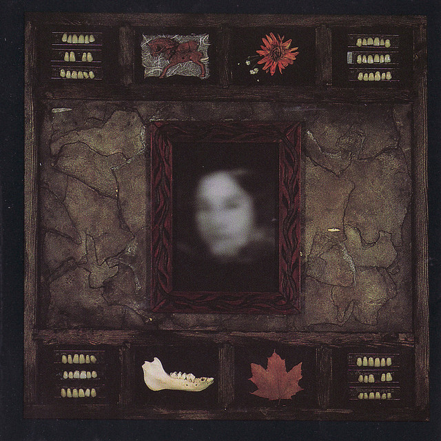 Face of Collapse cover art