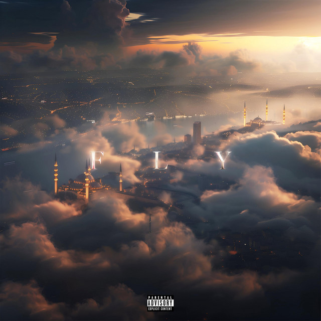 FLY cover art