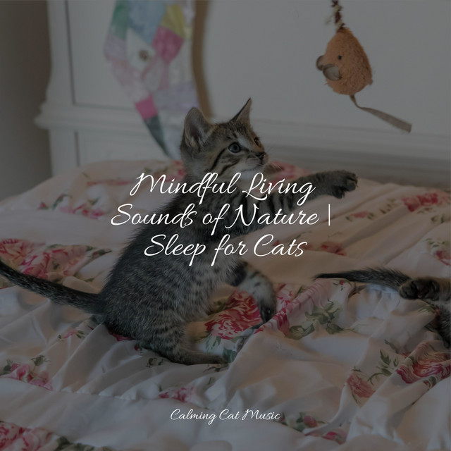 Mindful Living Sounds of Nature | Sleep for Cats - Album by Cat Music ...