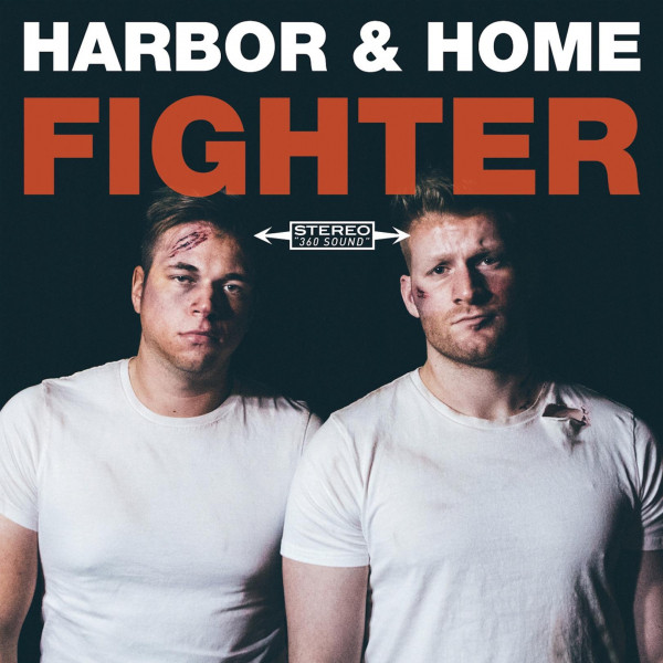 Fighter cover