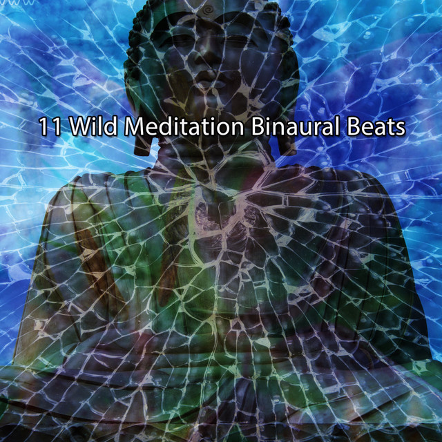 11 Wild Meditation Binaural Beats cover art