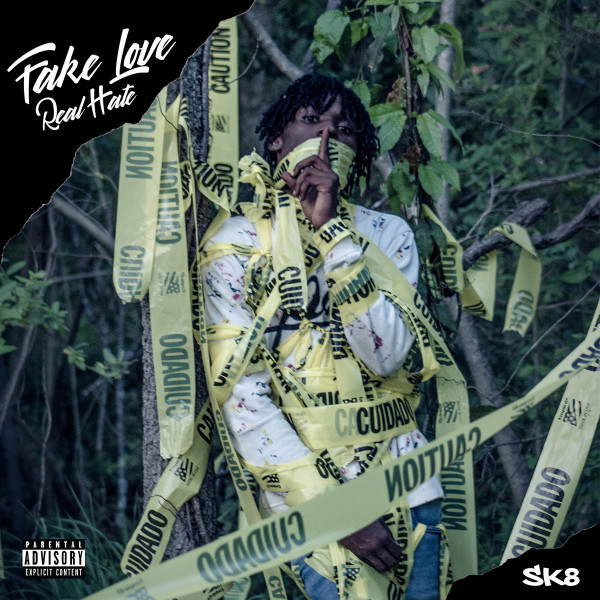 Fake Love Real Hate cover art