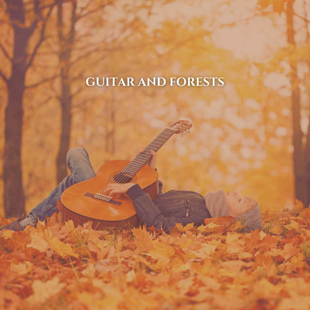 Guitar and Forests