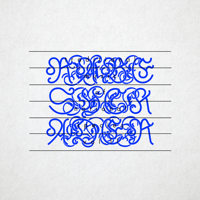 Traditional Music of Notional Species Vol. II cover